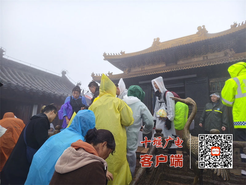 微信图片_20251004105011_102_9