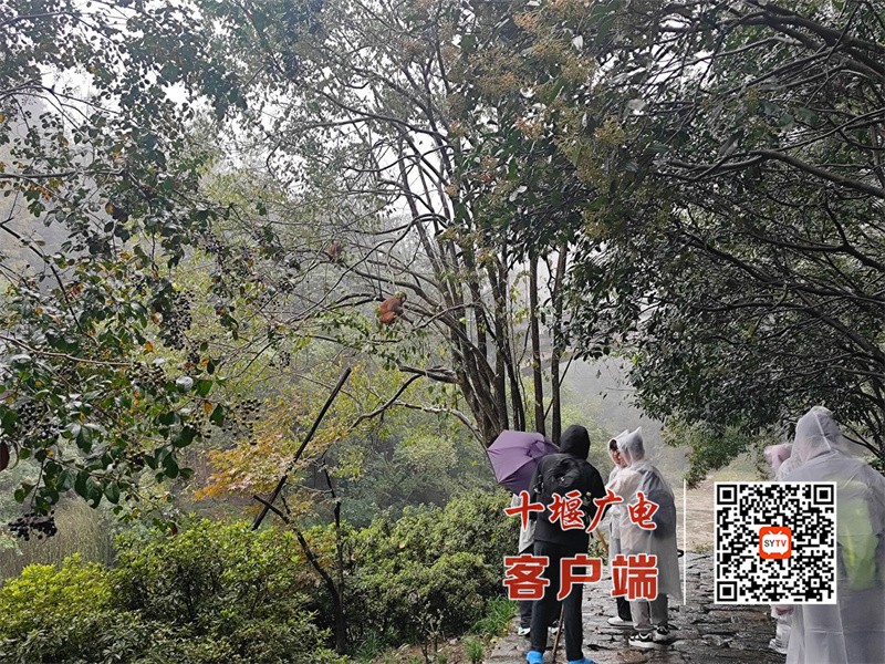 微信图片_20251004111043_104_9