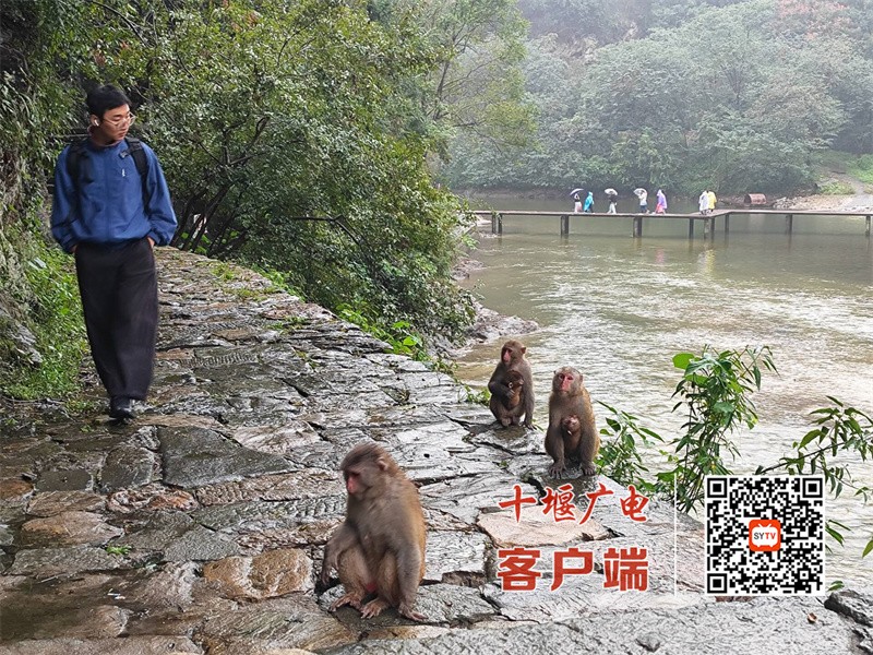 微信图片_20251004111044_105_9