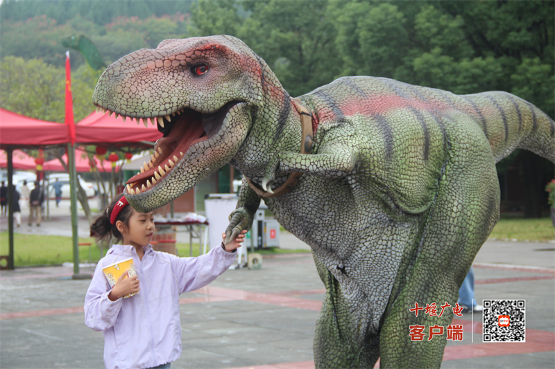 微信图片_20251004204640_595_152