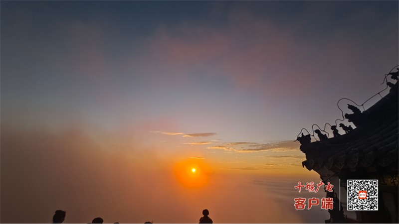 图片 6