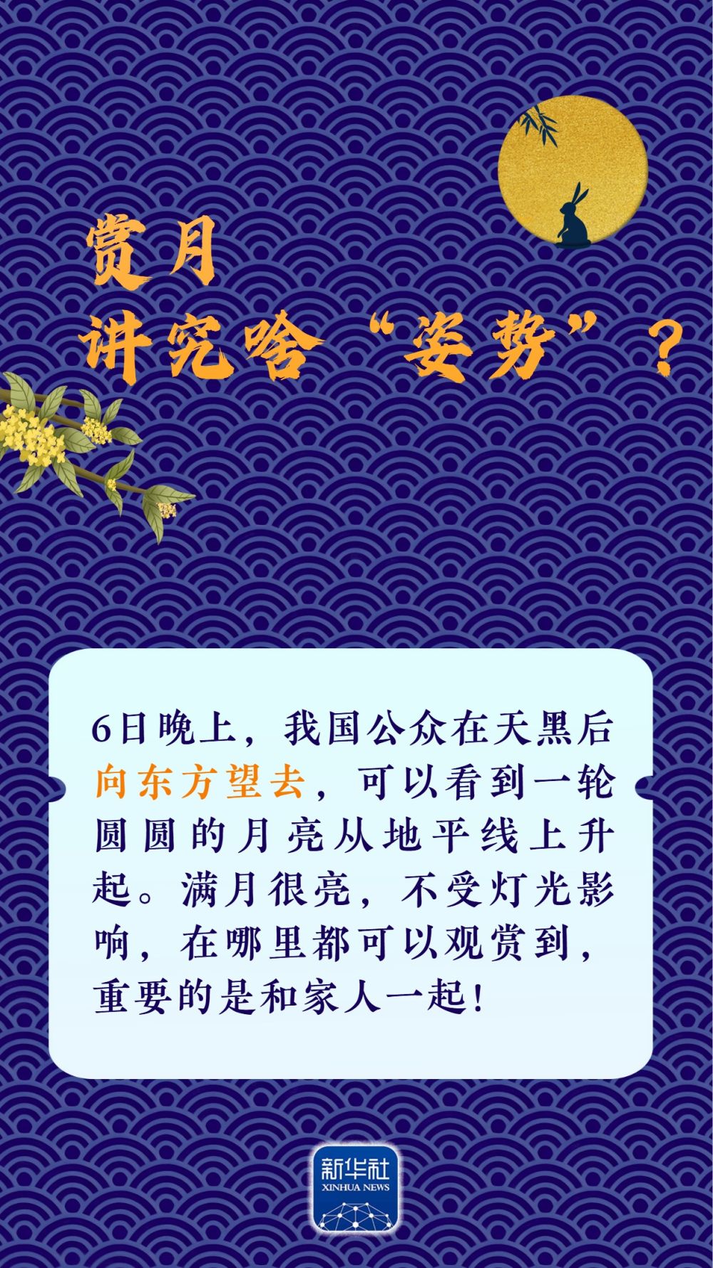 quality,Q_80 (8)