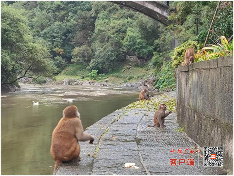 1_副本