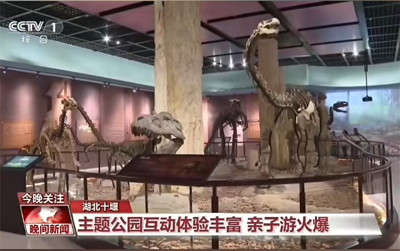 媒体聚焦2