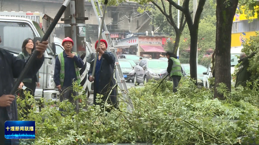 微信图片_2025-10-08_194850_828