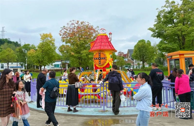 图片 8