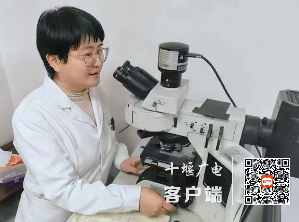 微信图片_20251010173051_228_2