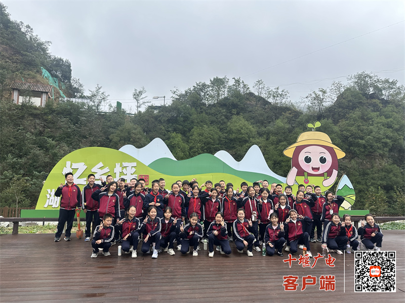 合影