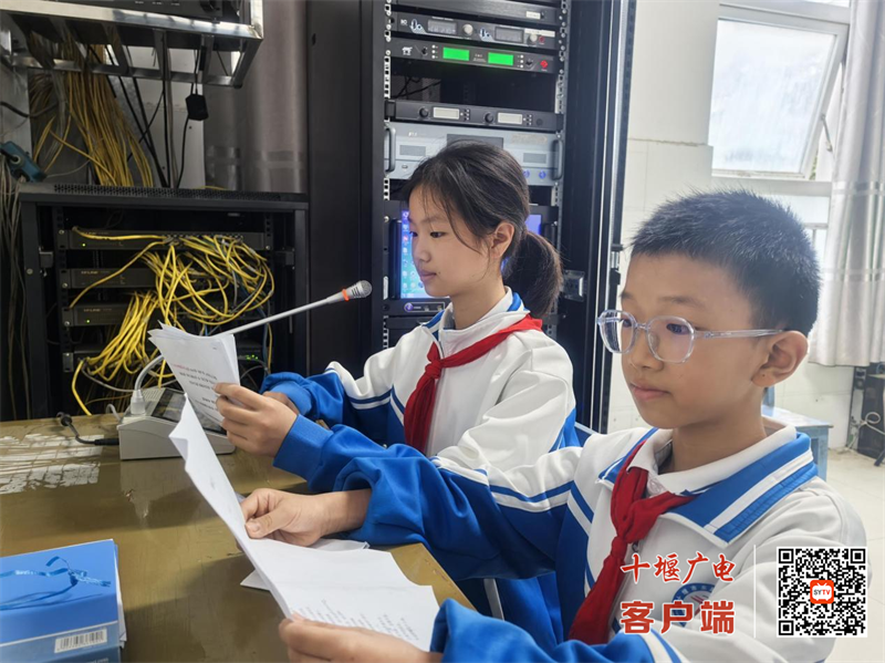 图片5_副本