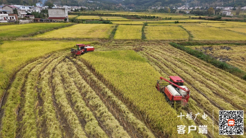 微信图片_20251014102657_2047_291 (1)