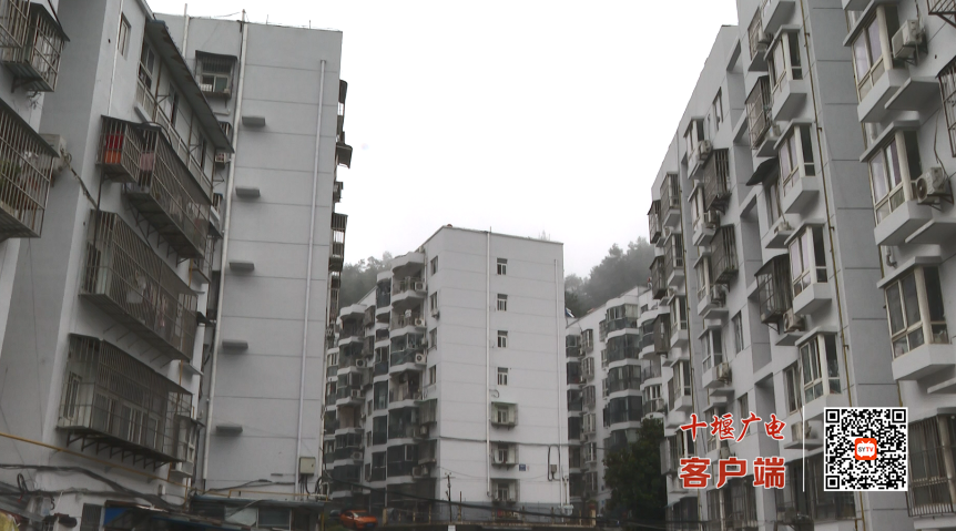 微信图片_2025-10-15_113947_924