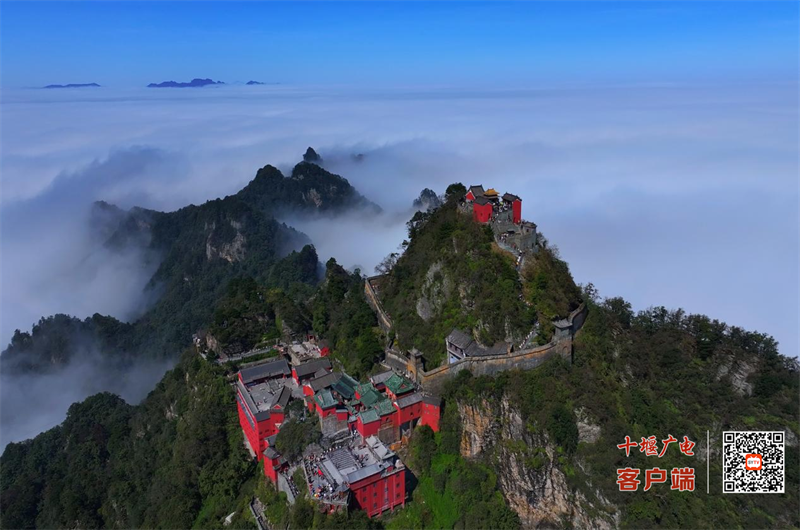 图片 4
