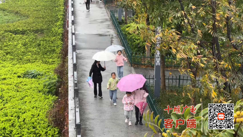 10月20日