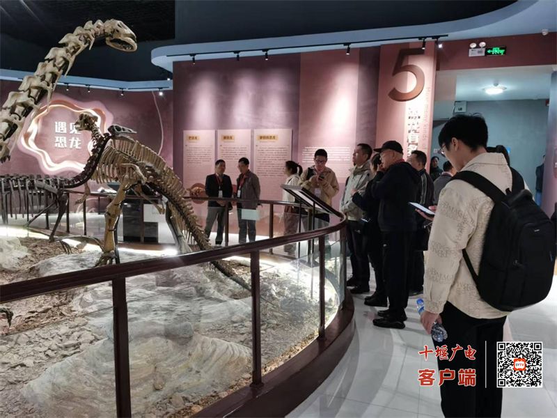 图片4