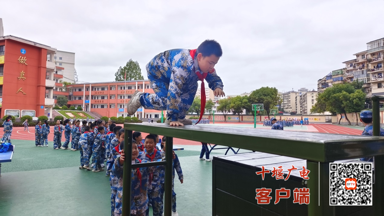 图片1