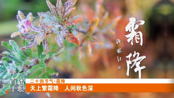 10月23日(32)