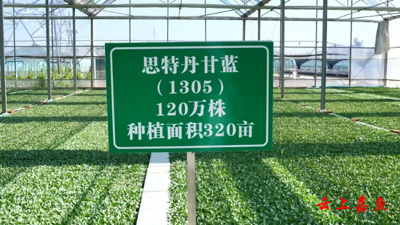 W020251023546998417627
