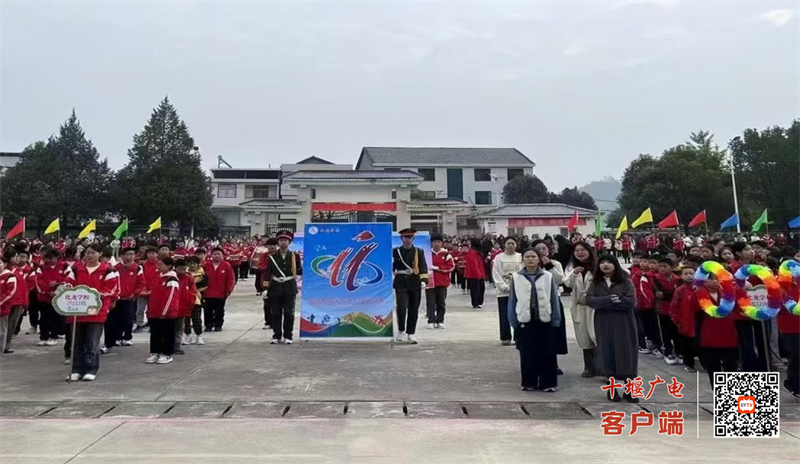 图片1