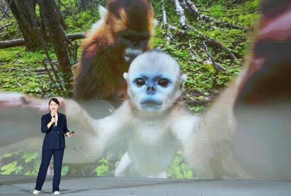 34358827-3b83-4ac9-9004-d9f13a5fb403