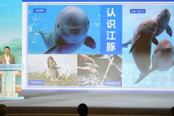 e9f4f31ab7f14409beda65a43c0675a8