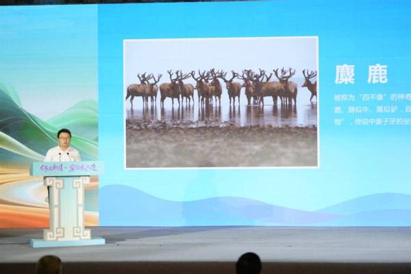 776eb4a396b34e0381e317316e99173b