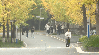 10.29银杏[00-01-58--00-02-07]