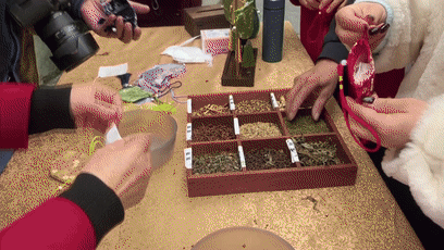 温情满重阳我市各地敬老爱老活动丰富又贴心[00-01-53--00-02-00]