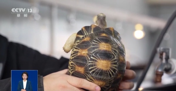 920535f641cb454bafbf89175f20dd23