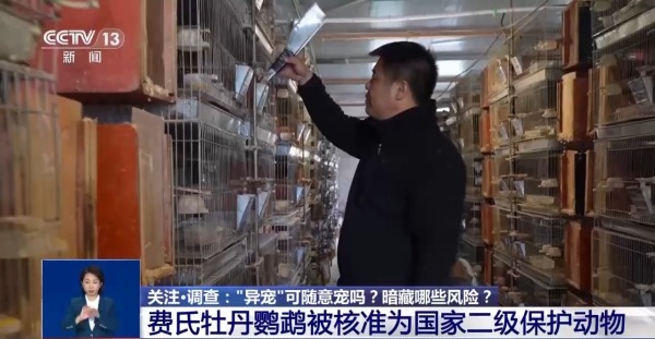 82a3898c00844c4eab97fd9f073e2f22