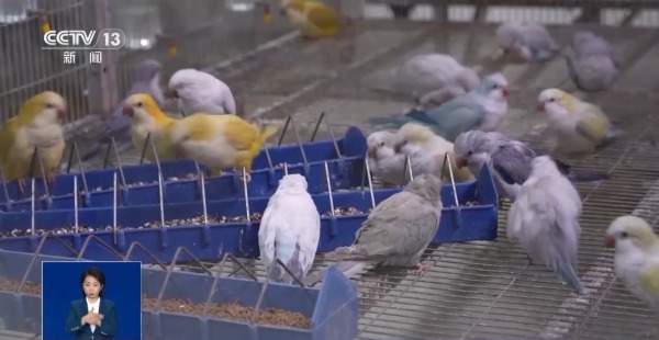 12e8b4933d4a41df8667983425787403