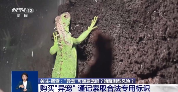 532e9b2de1b14b3b9ccc61ccd4d0c516