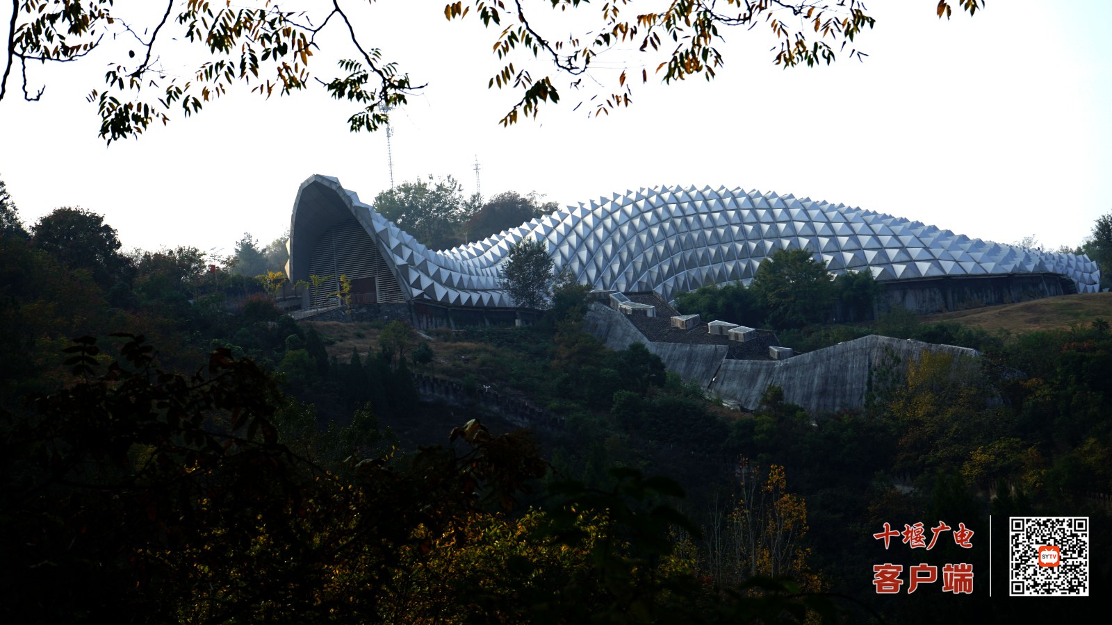 青龙山恐龙蛋化石群位于十堰市郧阳区柳陂镇,形成于距今约8600万年前,是全球恐龙蛋化石最集中的地点之一,也是中国首个恐龙蛋化石群国家级自然保护区 (4)