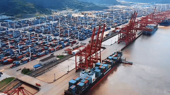 105012025110300008293