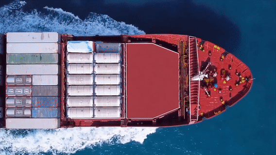 105012025110300008313