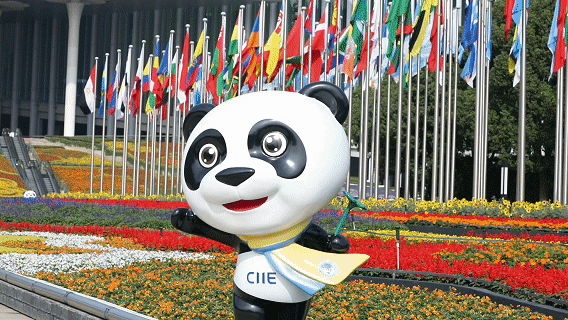 105012025110300008347