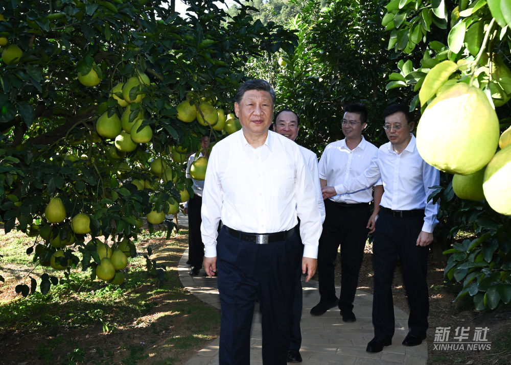 c4b4581f7e514af8a226cea49b564e3a