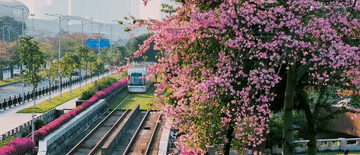 105012025110700016468