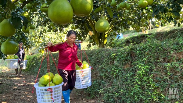 529afb1796e542d5844f5f19d79d05be (1)