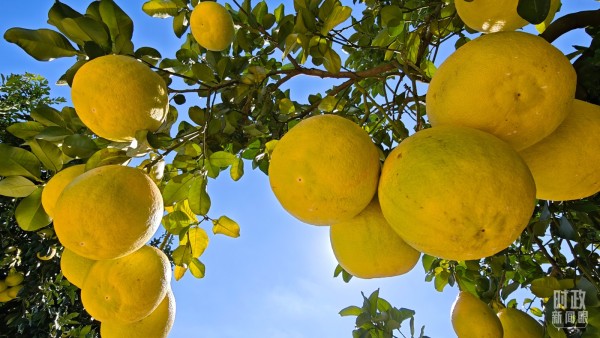 342e786c7e6d43af958a7f89212fe0f6 (1)