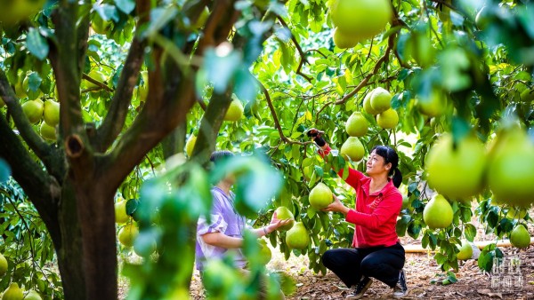 4b56ecda46bf47e2aa2e76022314e9c3 (1)