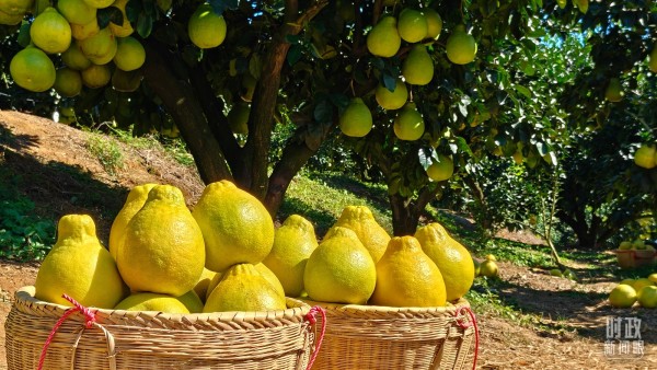 1acf32ed3ad54662a5e73bec4c278365 (1)