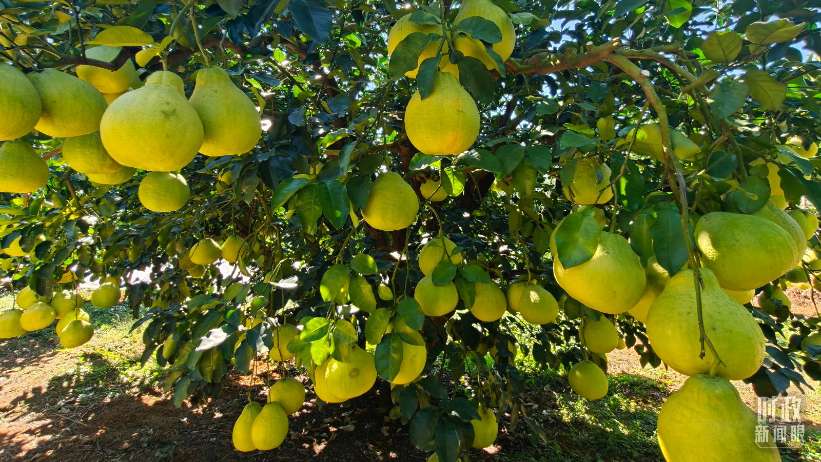 5a40681e1c4147cab71a4f0502885d27