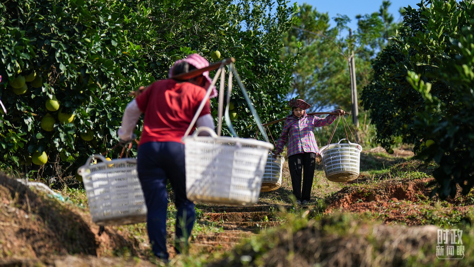 61a86709b818400a9adeaa2ba4c89760