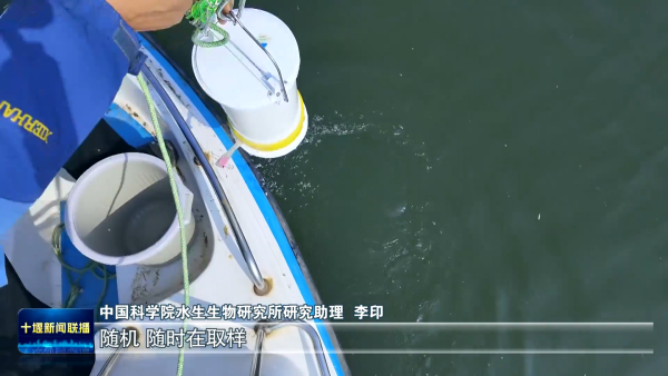 GkAxbymczh7ahZf4mWikGg6fmWEq2ywPAFQIme0s6UHIZsHx5APgbZuxP17zJ0qQAAAAASUVORK5CYII=