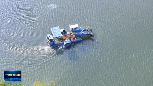 wttjVE8h7s3TgAAAABJRU5ErkJggg==