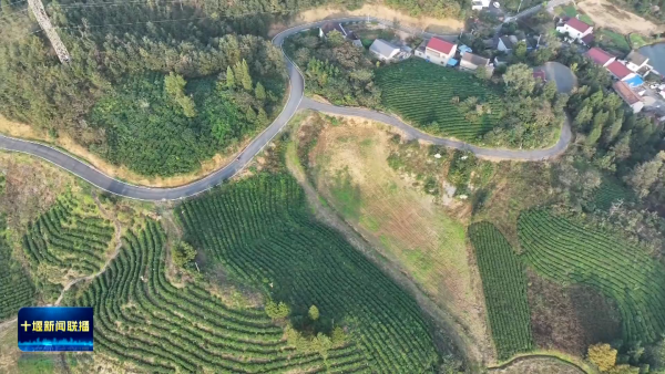 PrkC+kqk1ENWN+774H8770Zlk6dFNAAAAAElFTkSuQmCC