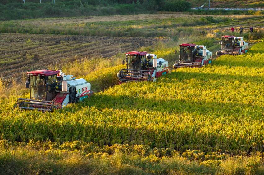 W020251110614014911483