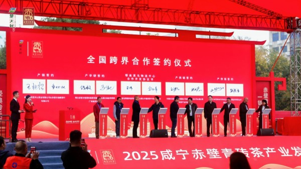 W020251110697916959633