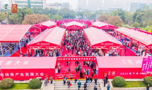 W020251110697917840475