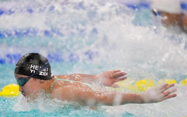 337b91efa9cb40c49d9cef93816758d5